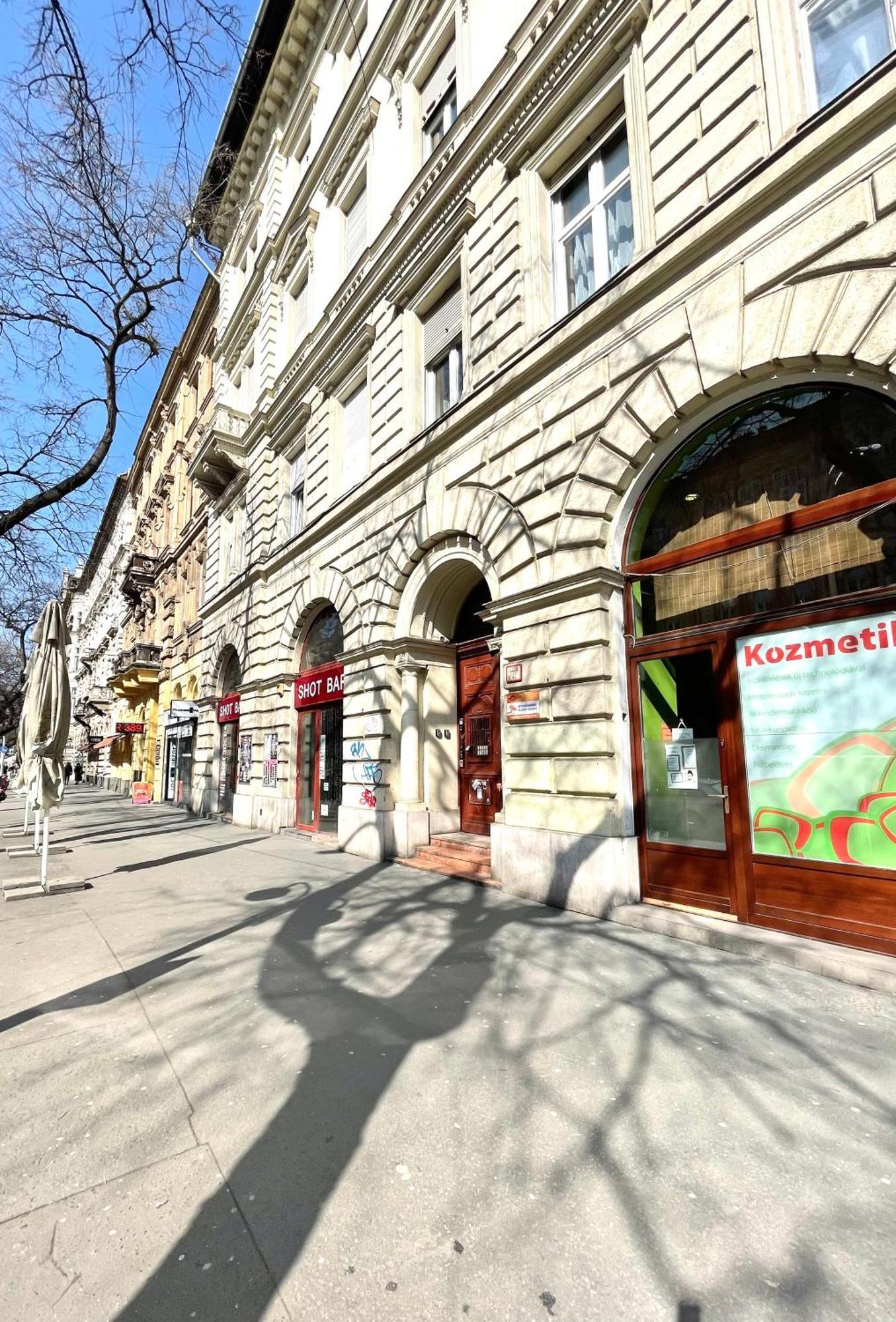 Amazing Swedish 3 Rooms Apartment In The City Center Budapest Extérieur photo